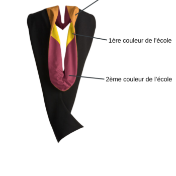 Capuchon Bachelor