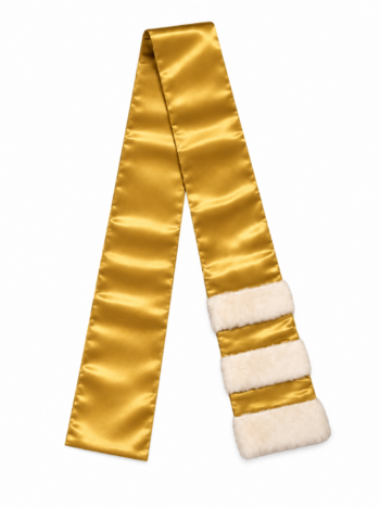 Épitoge standard