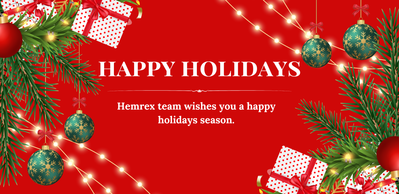 bannières sites HEMREX - noel 12-2025 Angl