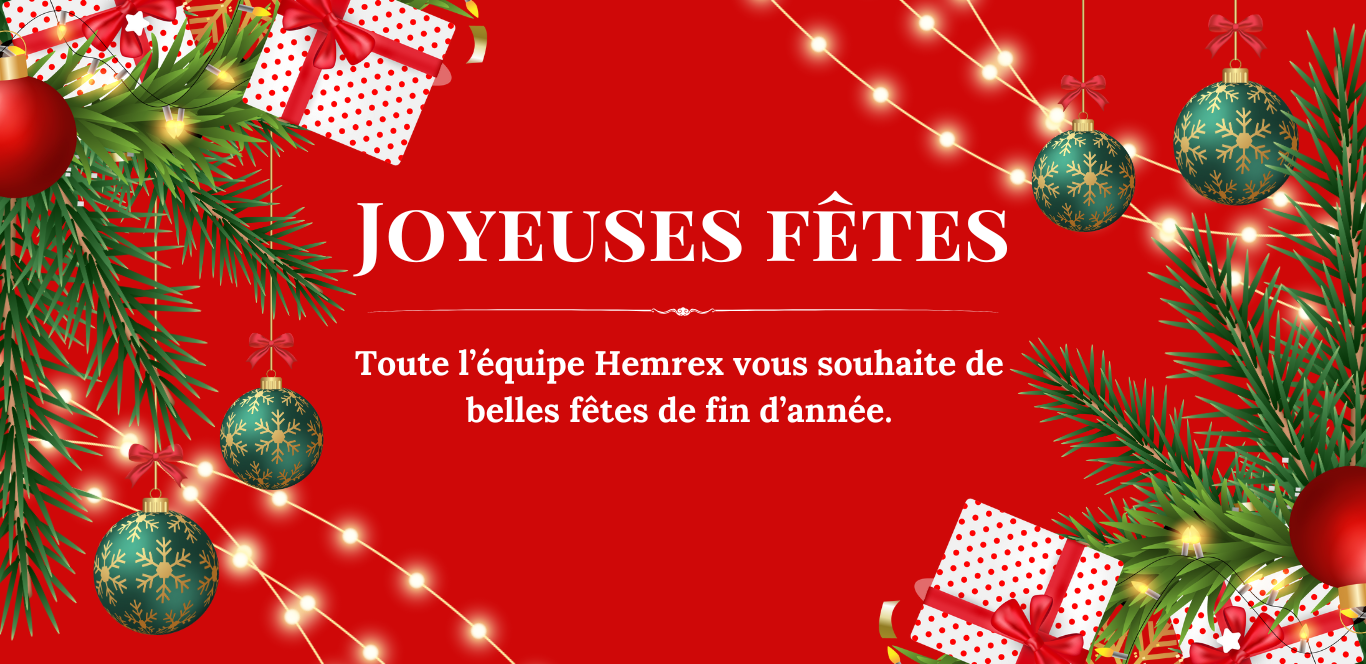 bannières sites HEMREX - noel 12-2025 Fr